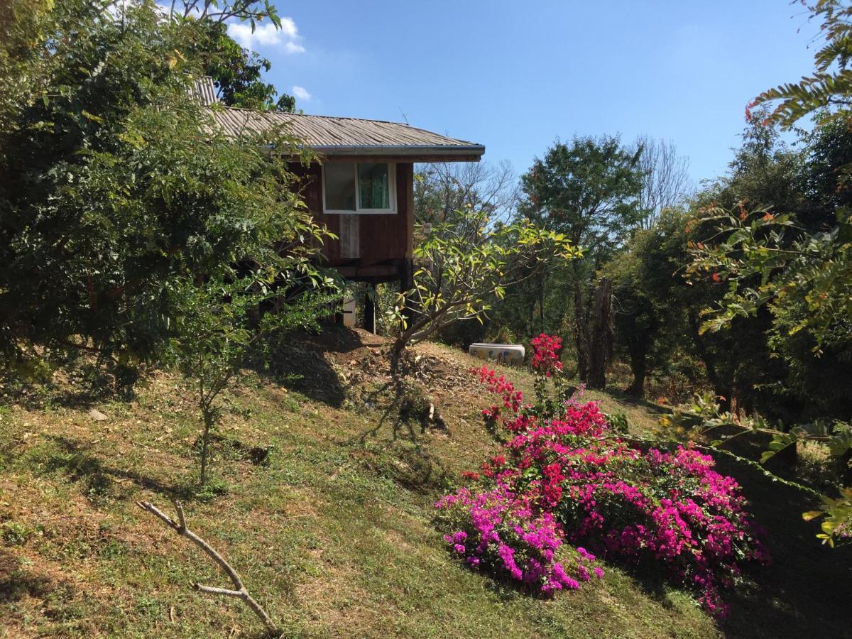 Cozycomo Nam Nao Ban Phu Hi Esterno foto